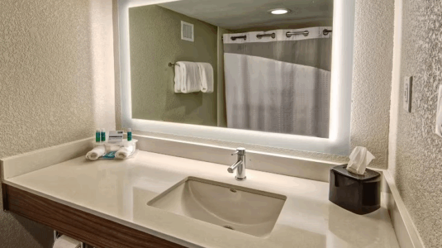 Holiday Inn 02
