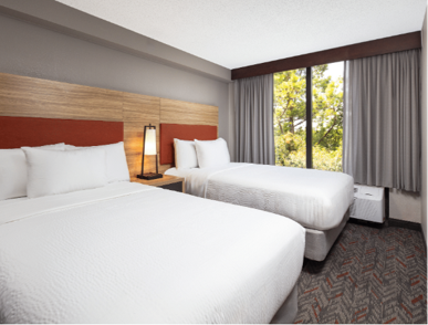 Double Bed Studio Suite Bedroom Picture