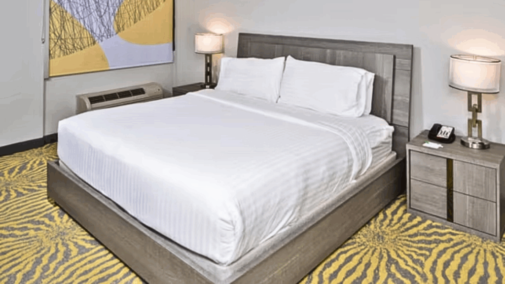 Holiday Inn DAL-RICH 2