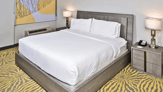 Holiday Inn DAL-RICH 2