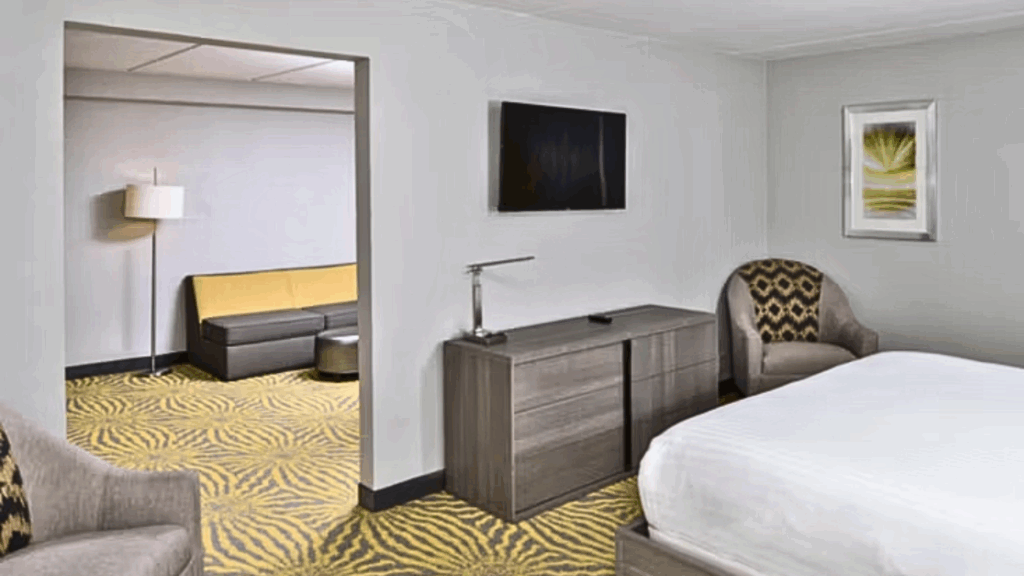 Holiday Inn DAL-RICH 3
